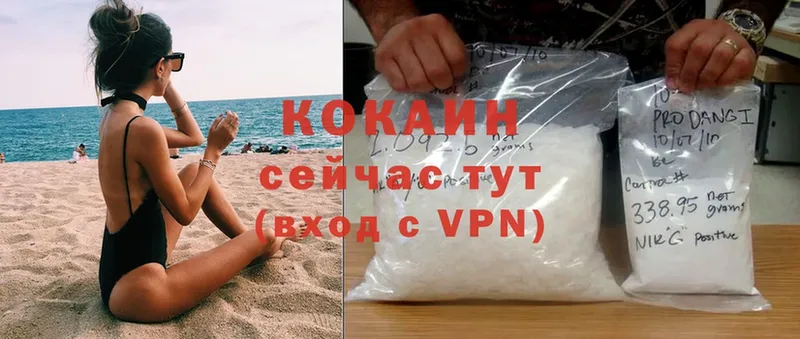 где купить   Малая Вишера  COCAIN Боливия 